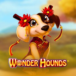 Wonder Hounds