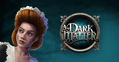 A Dark Matter