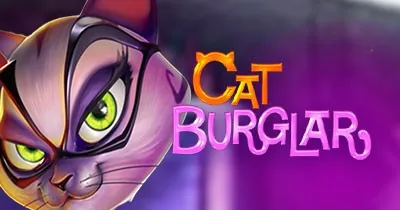 Cat Burglar