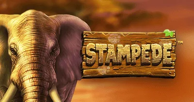 Stampede