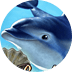 Dolphin’s Pearl Deluxe